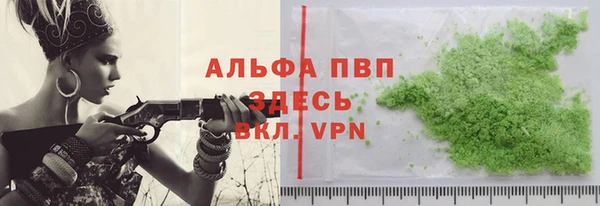 PSILOCYBIN Белокуриха
