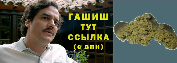 PSILOCYBIN Белокуриха