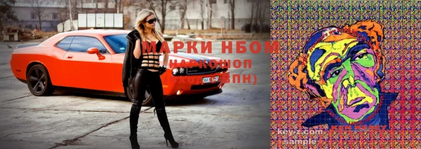 PSILOCYBIN Белокуриха