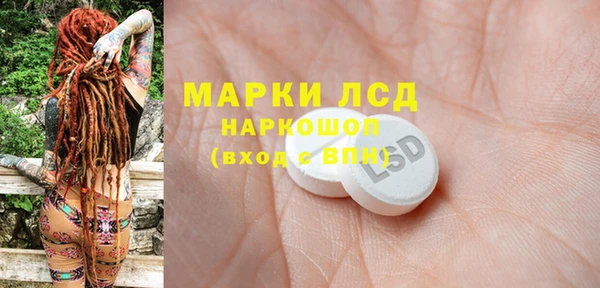 PSILOCYBIN Белокуриха