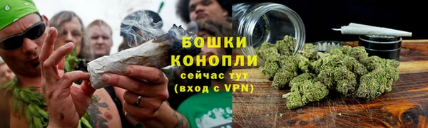 PSILOCYBIN Белокуриха