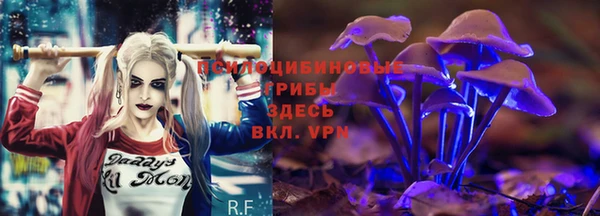 PSILOCYBIN Белокуриха