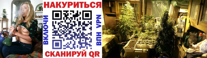 Канабис Amnesia  наркотики  Верхотурье 